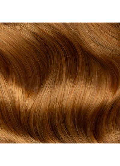 16 inch Halo Hair Extensions in #8 Chestnut Brown